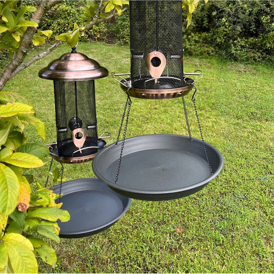 Alyjah Tray Bird Feeder