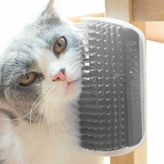 2 Piece Gray Cat Scratcher