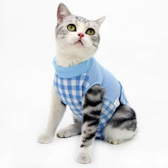 Cat Professional Recovery Suit Surgical clothing for abdominal wounds Lattice design for cats Collar cone replacement e after surgery m