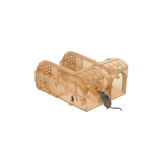 Live Mouse Trap Mouse Trap Mouse Trap Mouse Catcher Dormouse Mouse Shrew Humane and Kill Mouse Trap Mouse Trap Mouse Trap Humane Barty Attrap'