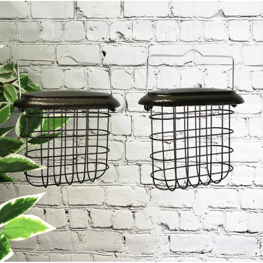 Exuma Suet Bird Feeder