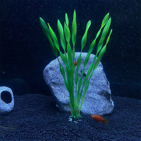 Perle Rare - Artificial Aquarium Plant, 10-Pack Colorful Plastic Aquarium Plants Large Water Decoration Aquarium Simulation Hydroponic Plants